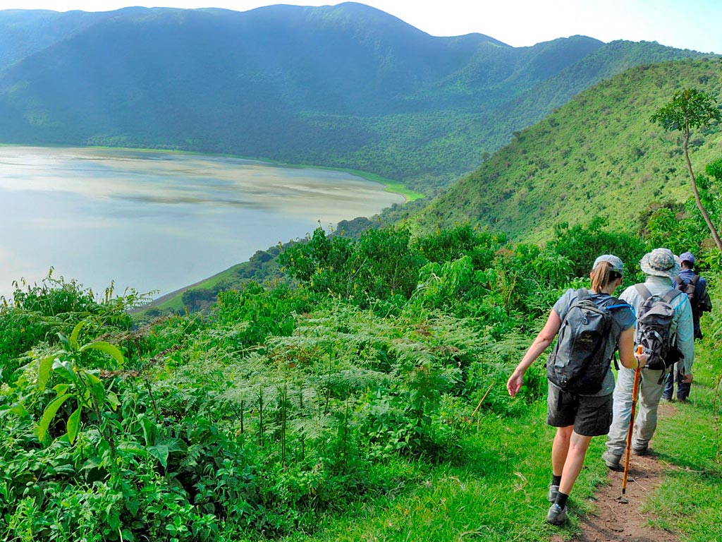Ngorongoro Crater safari showing wildlife and scenic landscapes inside Tanzania's natural wonder