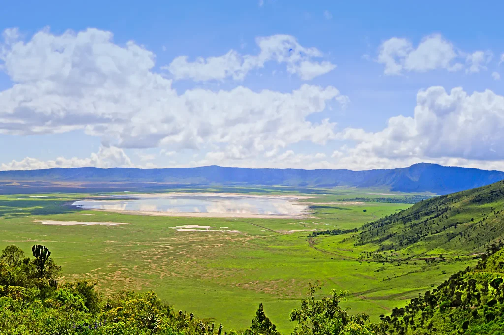 Ngorongoro Crater safari showing wildlife and scenic landscapes inside Tanzania's natural wonder