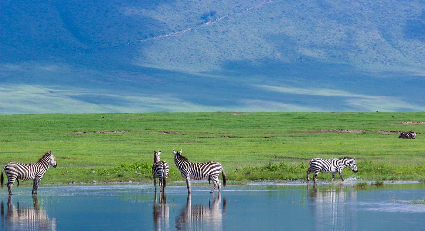 Tanzania major attractions Serengeti Ngorongoro Zanzibar Kilimanjaro safari wildlife guide