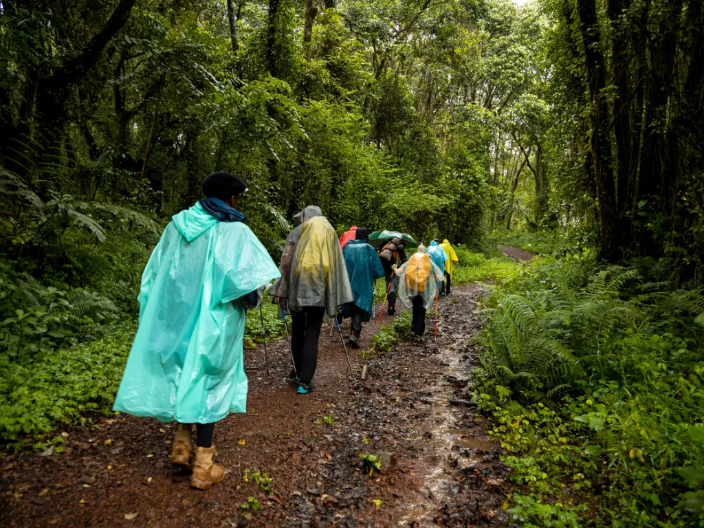 Machame Route on Mount Kilimanjaro