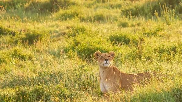 Arusha City Tour and Cultural Adventure