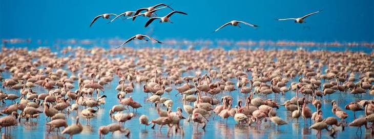 2 Day Ngorongoro Crater safari from Arusha