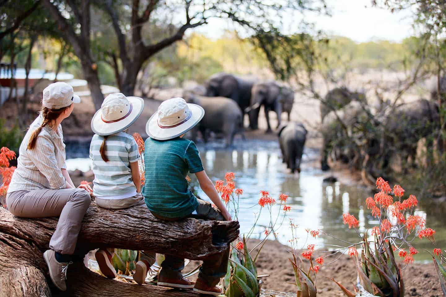 Family safari from Zanzibar enjoying a game drive in Tanzania with children watching elephants