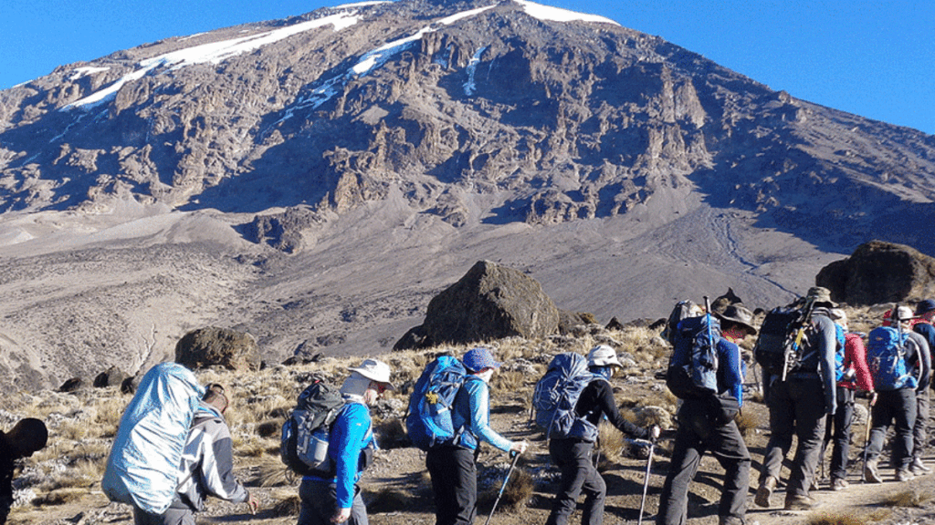 Lemosho Route Guide on Mount Kilimanjaro