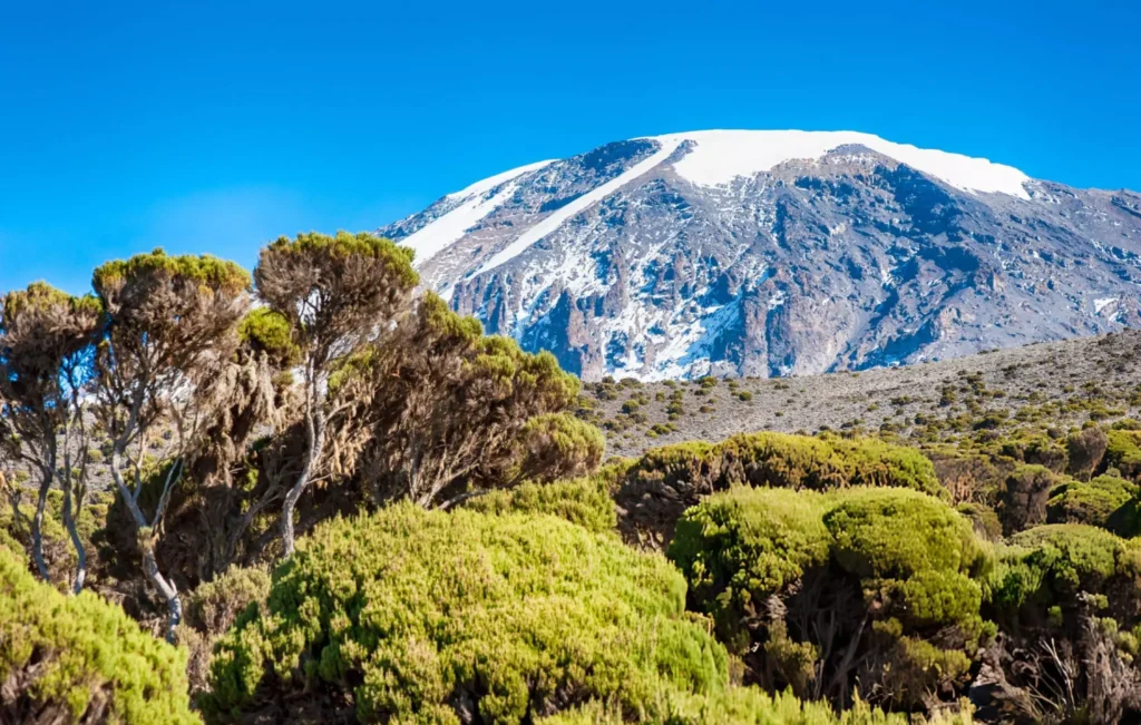 Kilimanjaro Altitude Sickness Guide showing climbers ascending Mount Kilimanjaro safely