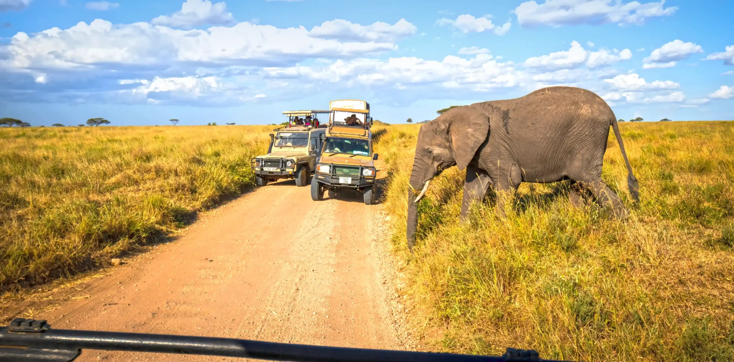 How to plan a wildlife safari to Tanzania with a safari vehicle viewing elephants in Serengeti National Park