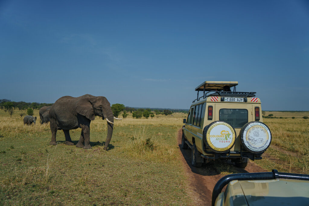 Kenya Tanzania Fly-In Safari wildlife adventure