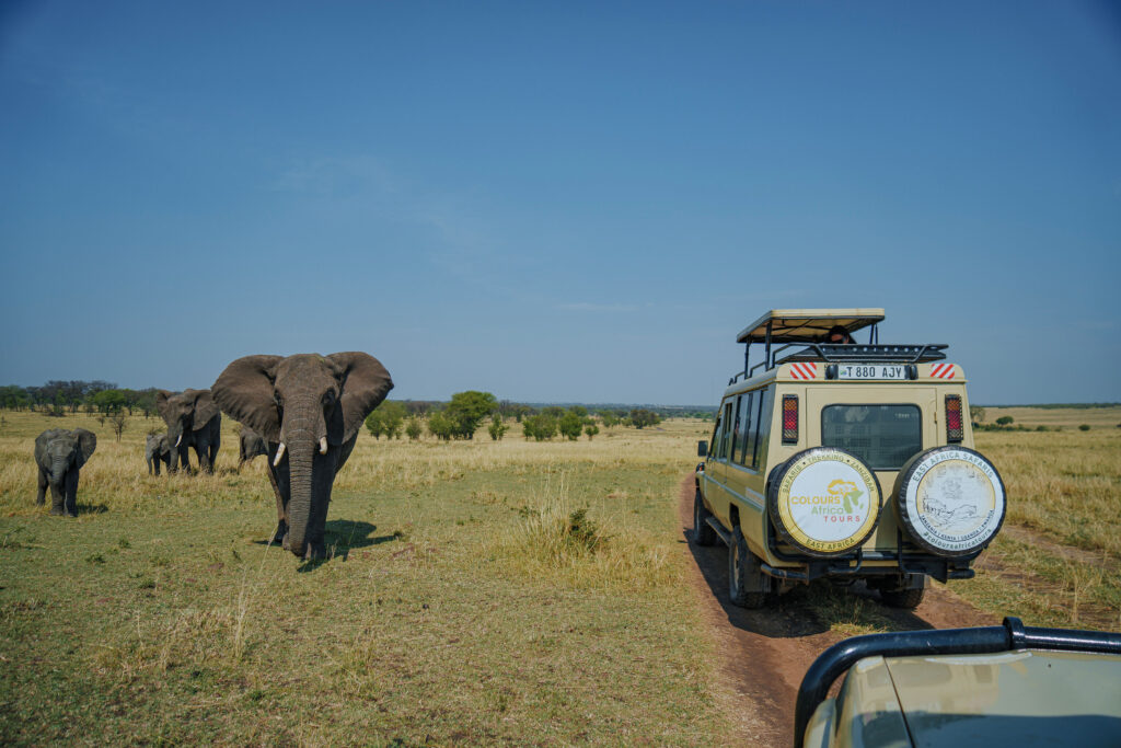 2 day luxury fly in safari from Arusha to Central Serengeti