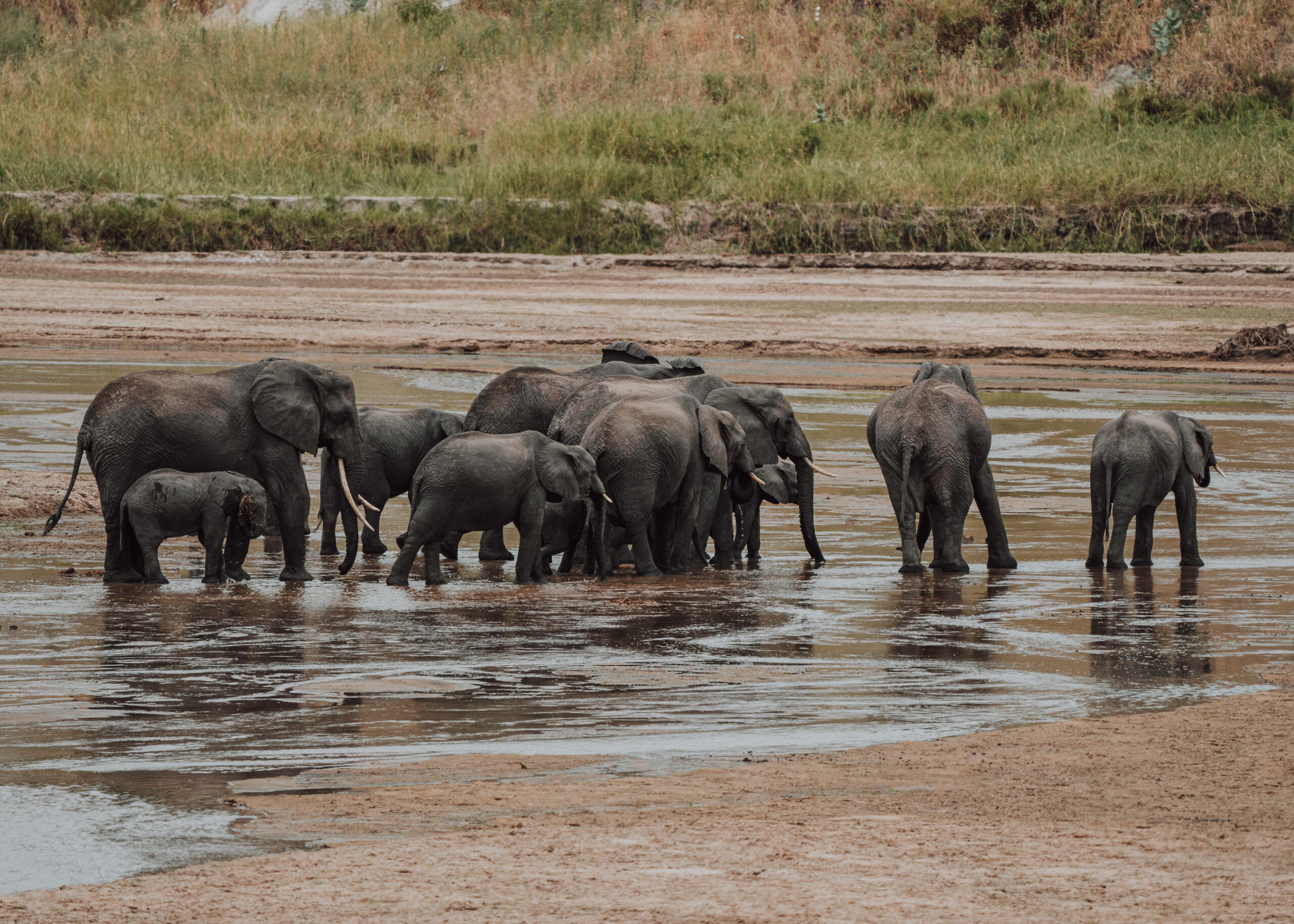 12 Day Private Kenya Tanzania & Zanzibar