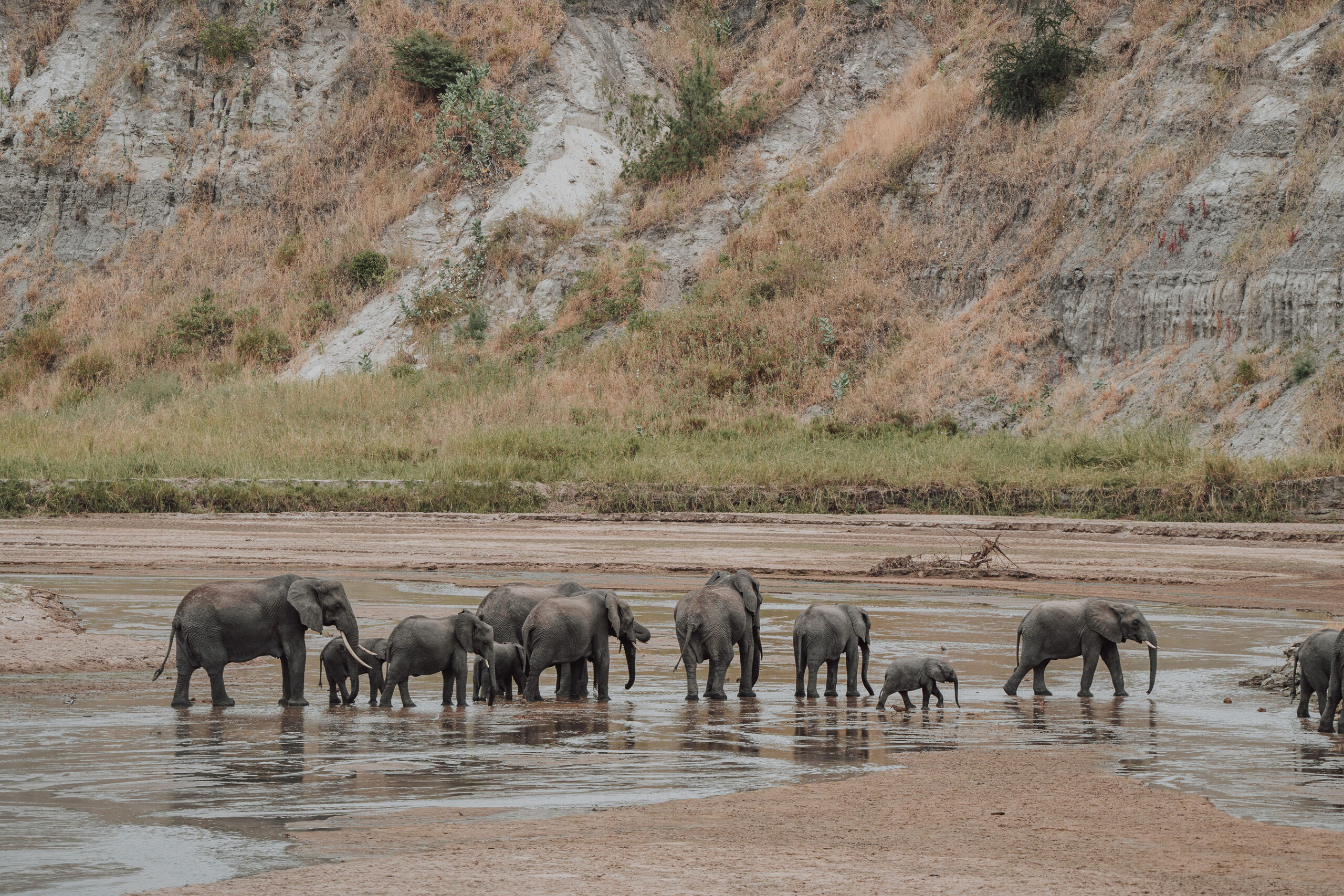 14 Day luxury Kenya Tanzania & Zanzibar