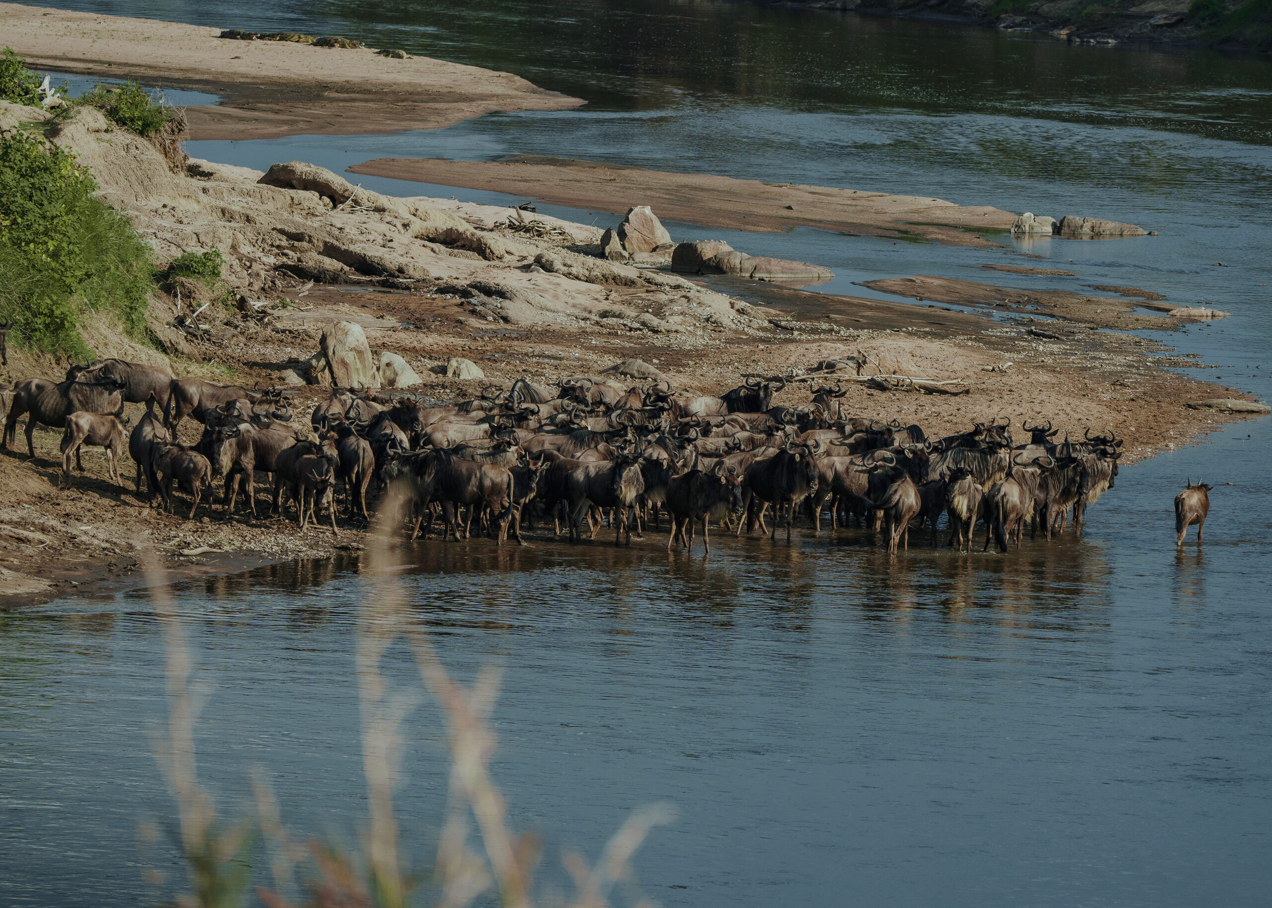 6-Day Tanzania Safari: Tarangire, Great Migration & Ngorongoro Crater