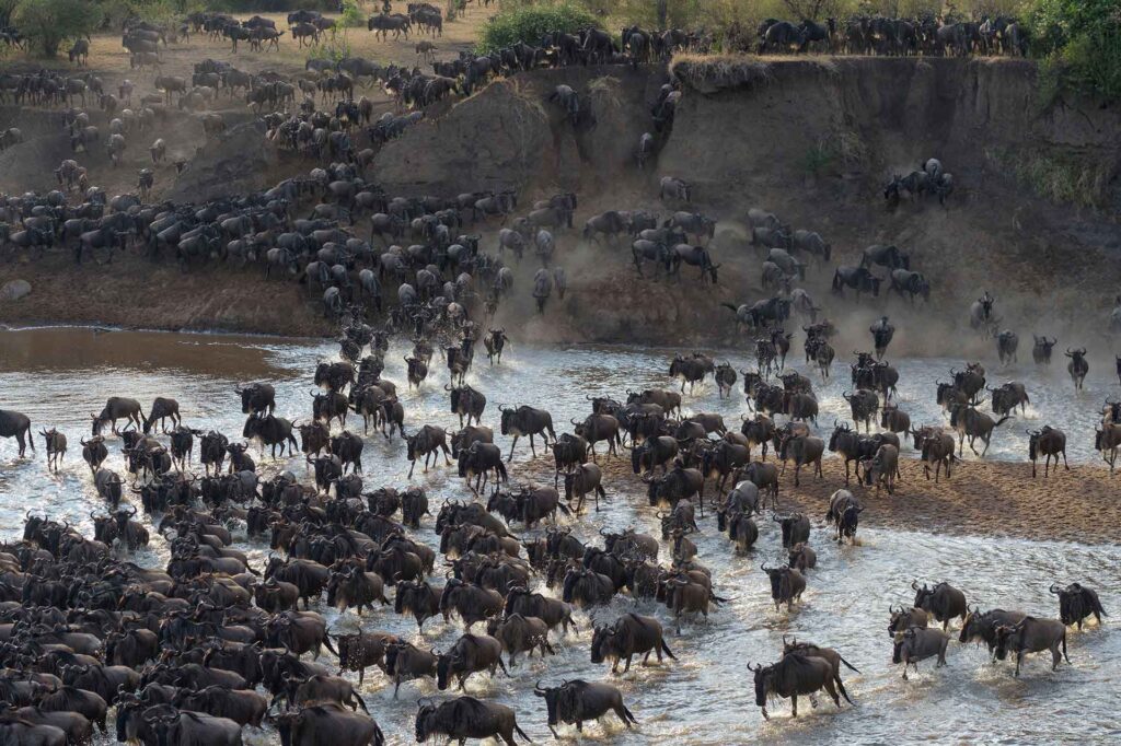6-Day Family Calving Season Safari Day 1 to Ngorongoro