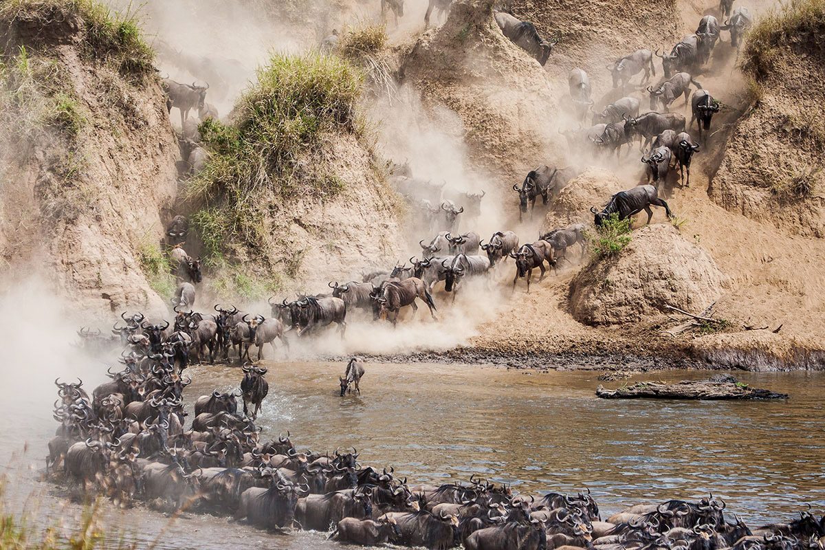 10 Days Great Migration Mara River Crossing & Zanzibar Beaches.