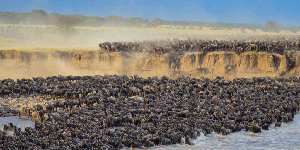 3-day safari from Arusha to Northern Serengeti witnessing the Great Migration
