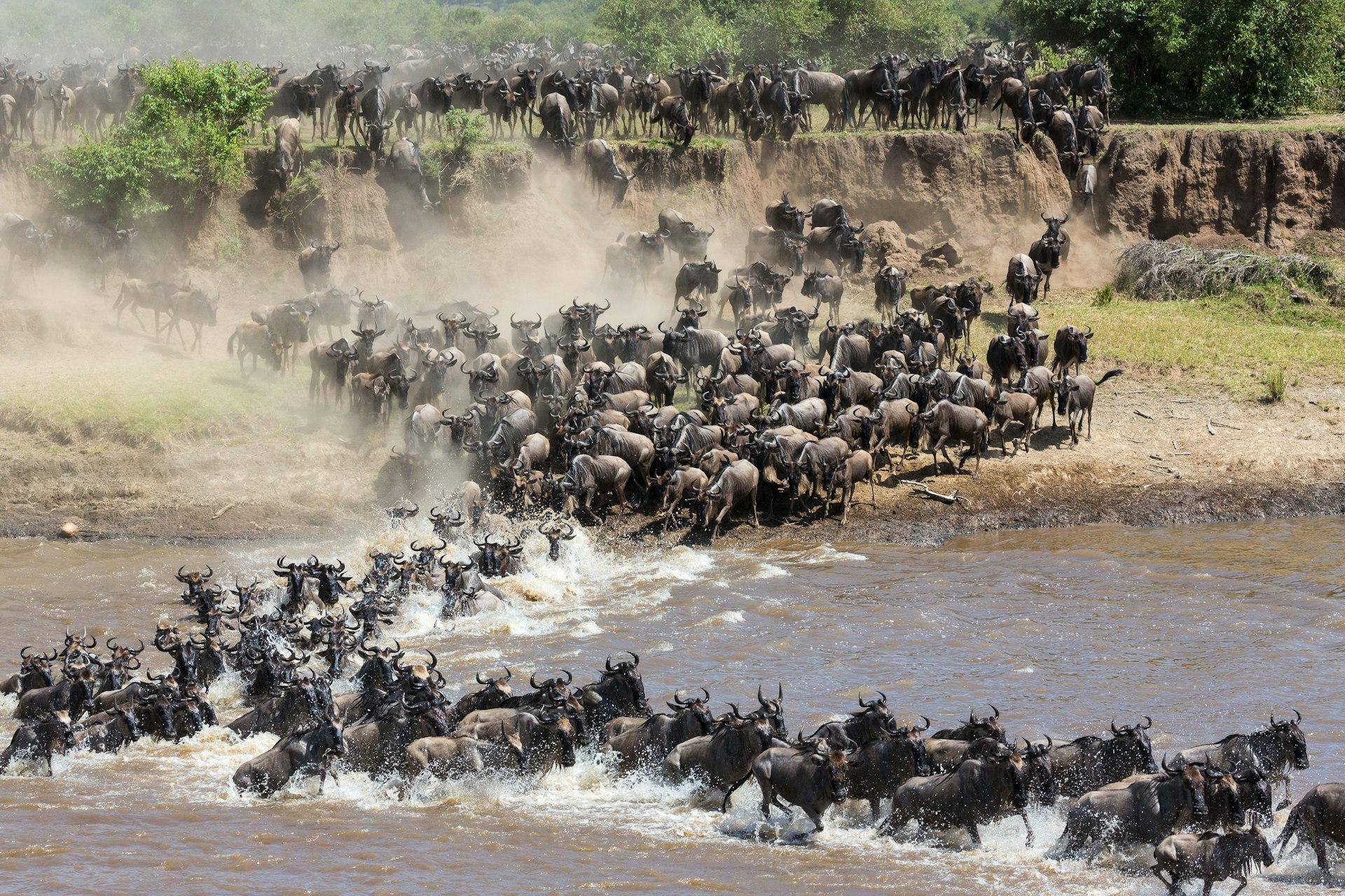 Tanzania Great Migration Safari at Mara Rive