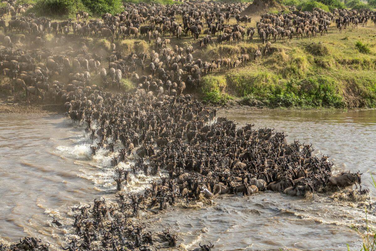 7- Day Great Migration & Culture experience luxury safari